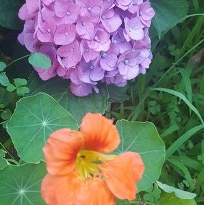 Meet your Posher, Ellen